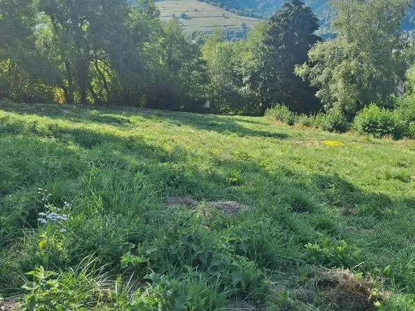 TERRAIN CONSTRUCTIBLE 1 995 m² - VUE SUR CHARLANNE - MURAT-LE-QUAIRE