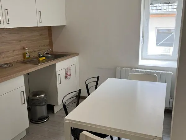 Mulhouse - Appartement 2 pièces rénové