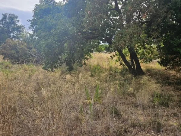 Terrain 559 m²
