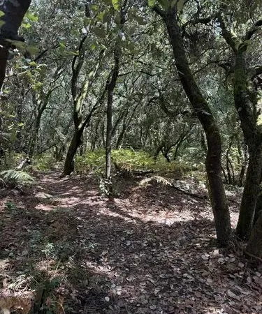 Terrain à Gordes 1360m² avec belle vue