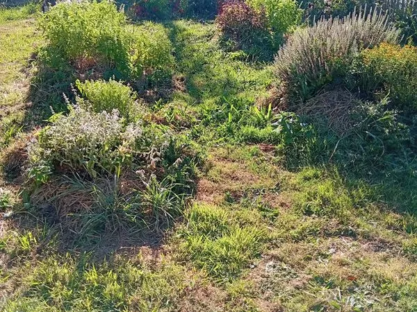 Terrain constructible