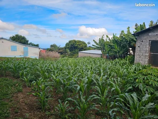 Vente de terrain nu