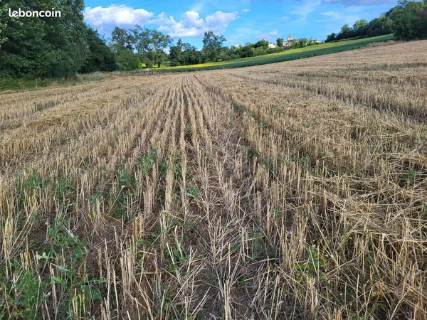 Terrain agricole à vendre -6129 m²-Monblanc (Gers)