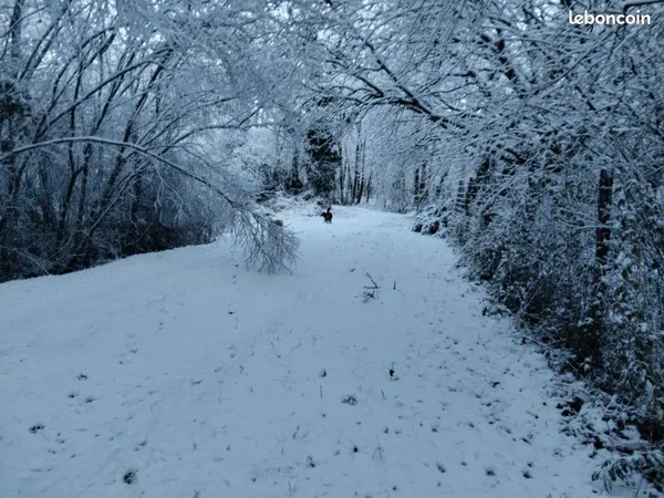 Terrain de loisir