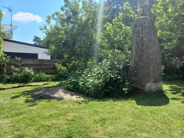 Collocation à l'orée des bois