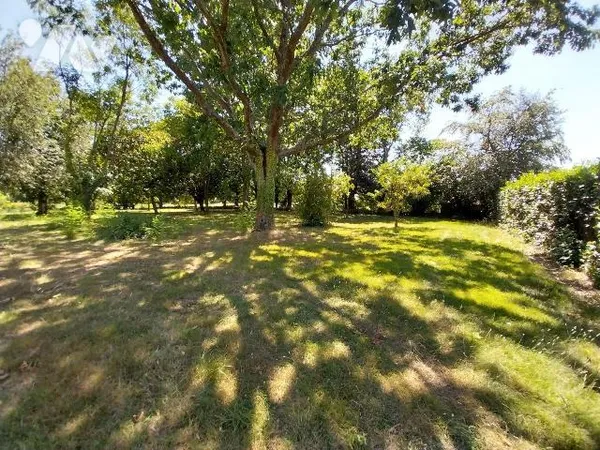 Terrain 2245 m²
