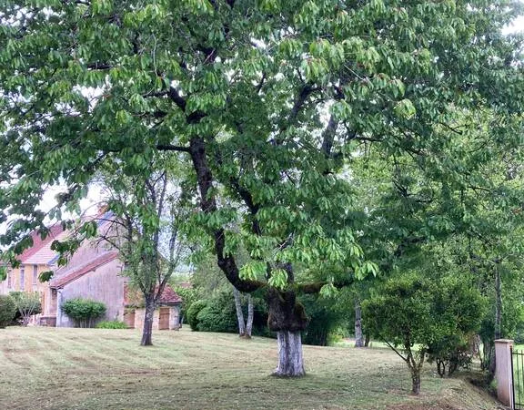 Maison 4 pièces 184 m²