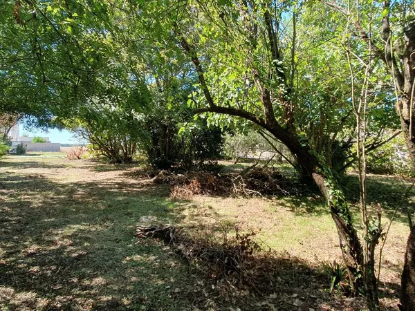 Beau terrain arboré constructible de 520m²