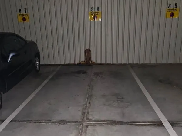 Place de parking