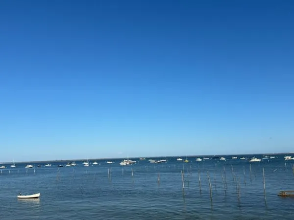 Cap Ferret - L'Herbe