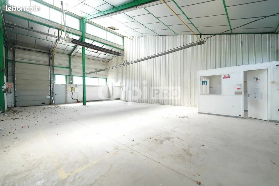 Photo 4
