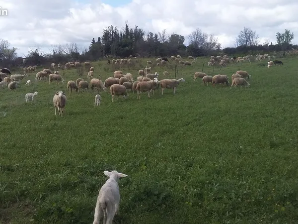 Ferme à reprendre