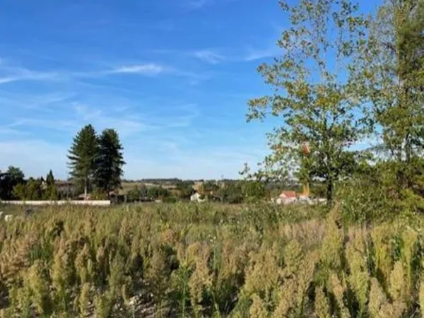 Terrain 321 m²