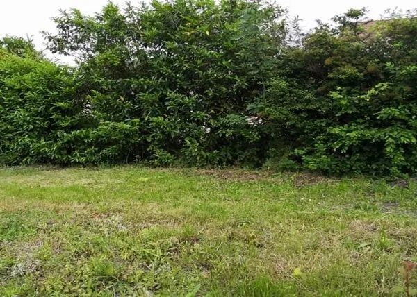 EXCLUSIVITE ORGEVAL - Terrain viabilisé - Centre ville à pieds - Une seule parcelle disponible