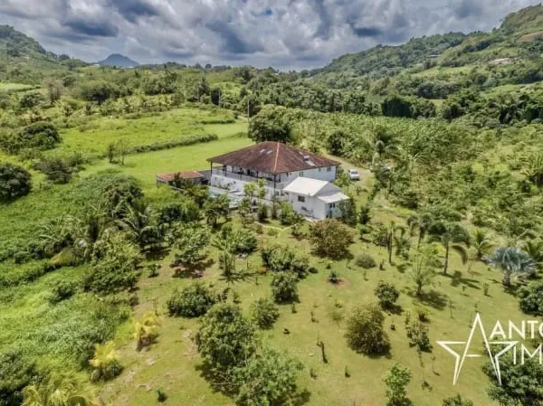 Villa 10 pièces 310 m²