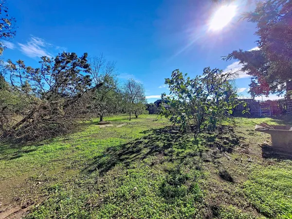 Terrain de loisirs de 1650 m² avec batiment cadastré de 22m² et puits
