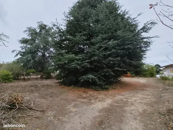 Terrain 900 m² Illats
