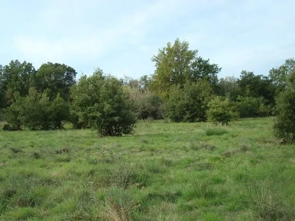 Terrain 171 m²