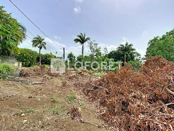 Terrain 500 m²