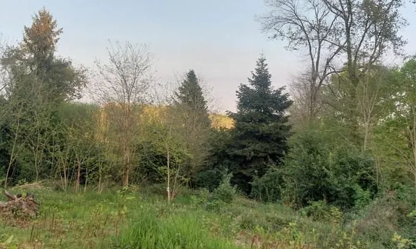 Terrain constructible vue Pyrénées de 800 m² à Laroin (Proche de PAU)