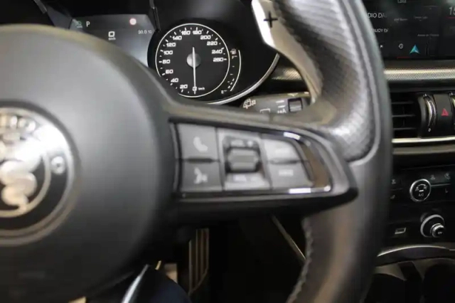 Alfa Romeo Stelvio 2.2 190 ch q4 at8 — photo 38