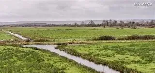Vente terrain agricole 7 200 m2 - commune de vue 44640 - zone de marais