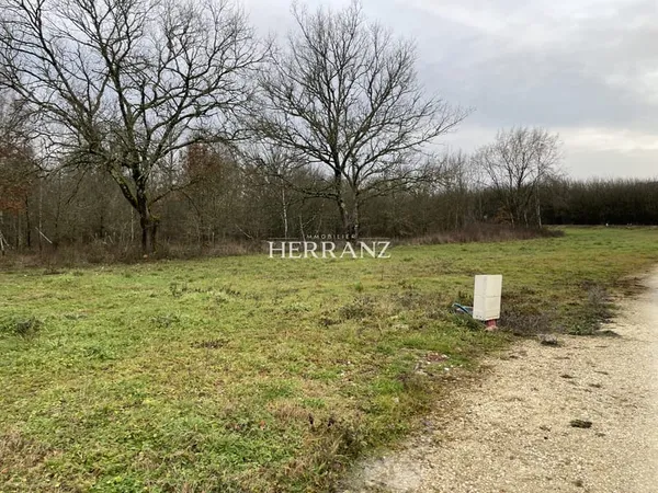 Terrain constructible viabilisé - 1195m2 Lamothe-Montravel