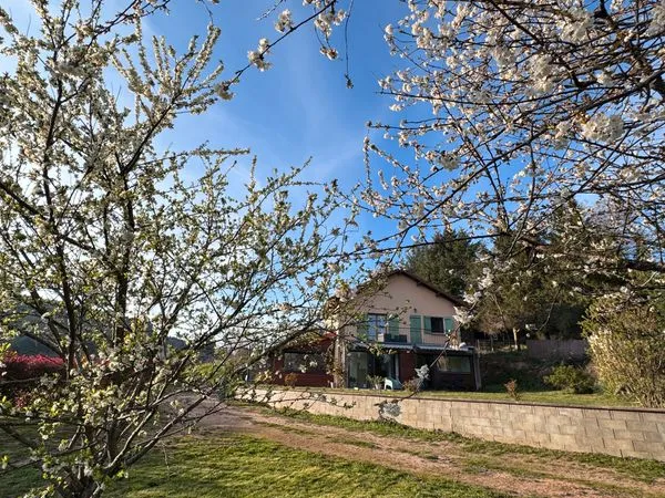 Maison rénovée 130 m² - 2 000 m² de terrain clos - Vue dégagée - Ambierle