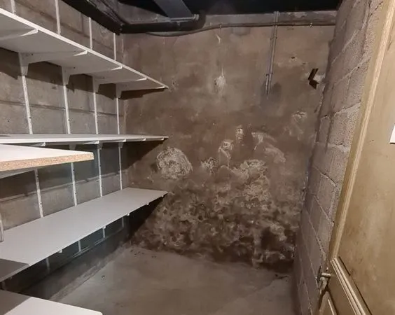 Appartement T3 66 m2 Clermont fd