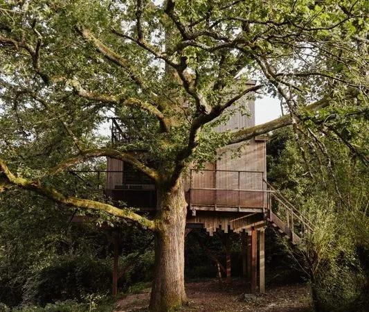 Cabane perchée confort vue lac • 30 min de Bordeaux