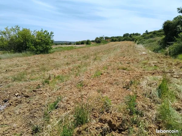 Terrain agricole