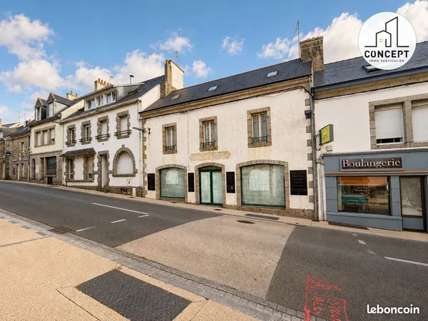 Immeuble 7 pièces 202 m²