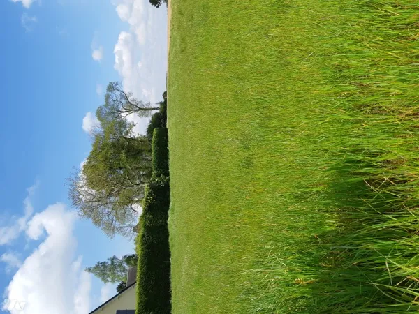 Terrain 909 m²