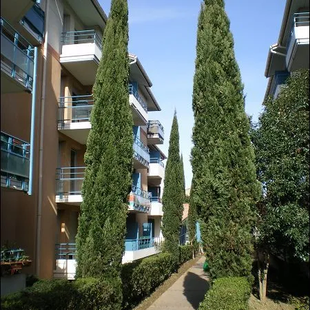 T3 PATTE D'OIE