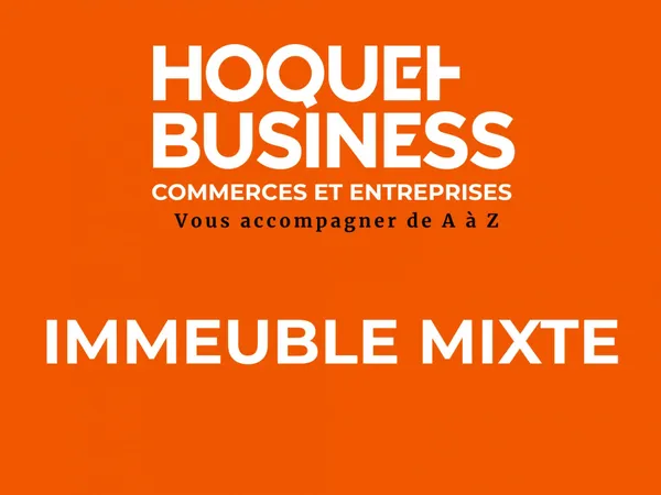 Immeuble mixte 182 m² à vendre - Secteur Aulnay Prix : 241 20