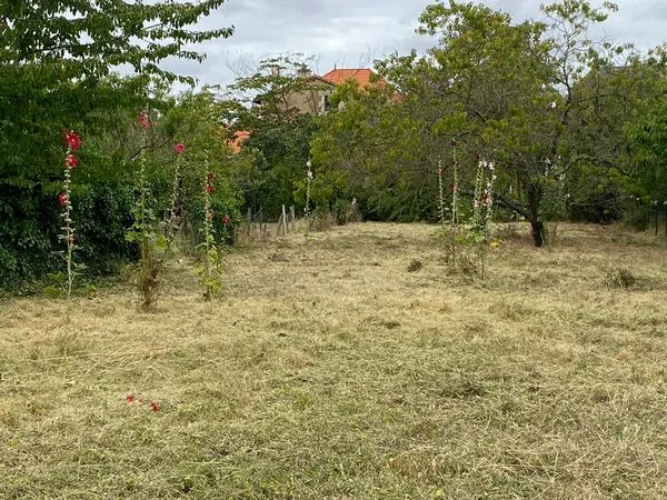 Terrain constructible