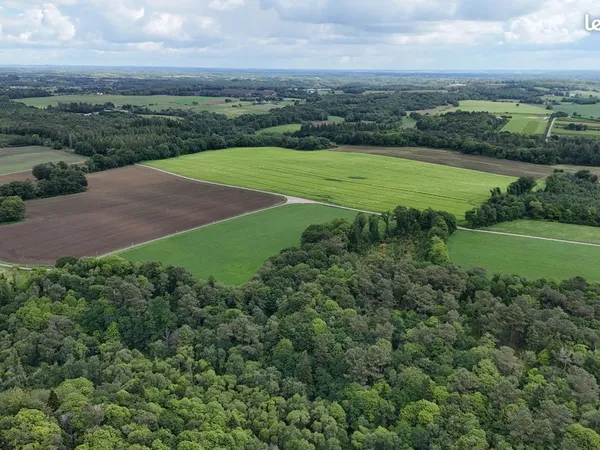 Massif forestier d'un seul tenant au coeur du Morbihan : idéal chasse et projets sylvicoles