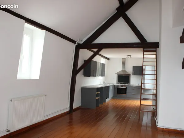 Coup de coeur - Loft de caractère 120 m² au sol - Séjour cathédrale - Limite Mouvaux