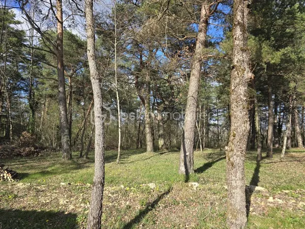 Terrain 6000 m²
