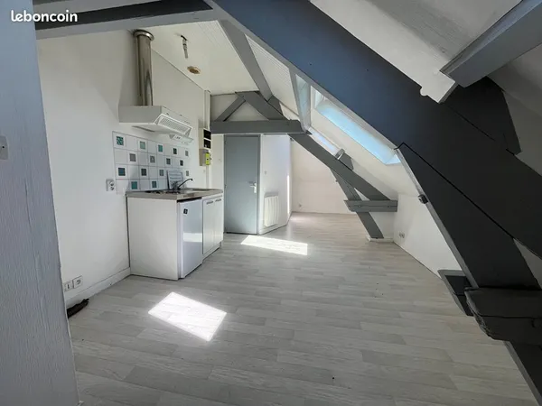 Loft 1 pièce 14 m²