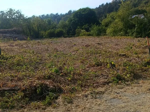 Vente de terrain