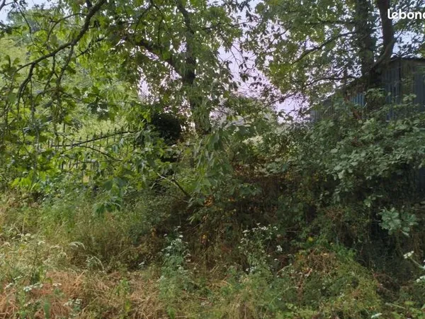 TERRAIN EN FRICHE DE 2350m² NON CONSTRUCTIBLE