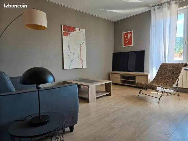 Appartement T2 centre ville Millau meublé