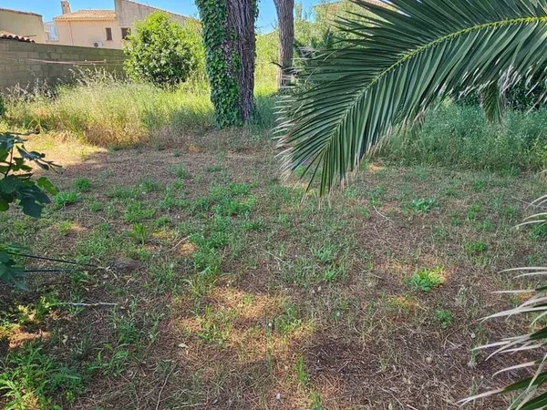 Très beaux Terrain a 700 mètres de la plage
