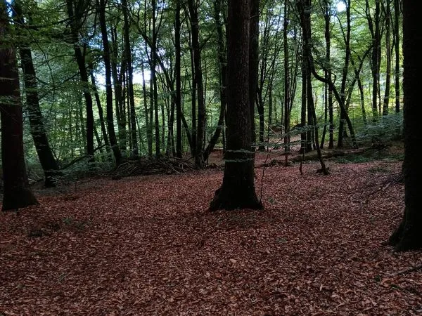 Terres agricoles