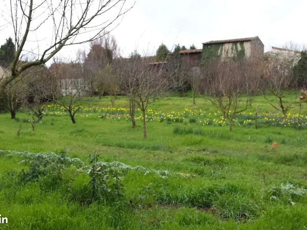 Terrains arborés Lasbordes (11)