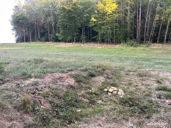Vente terrain en bordure de forêt