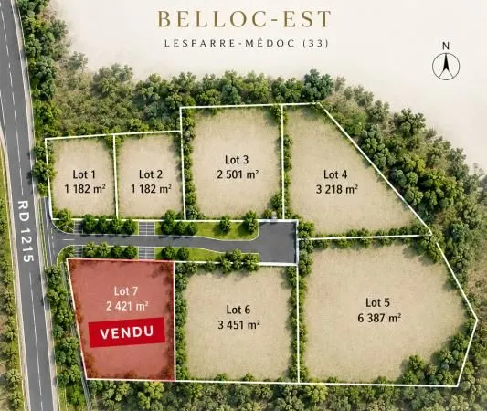 Terrain 23 519 m² Lesparre Medoc