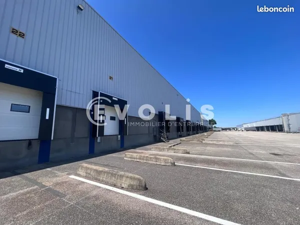 Local d'activité 6 113 m²