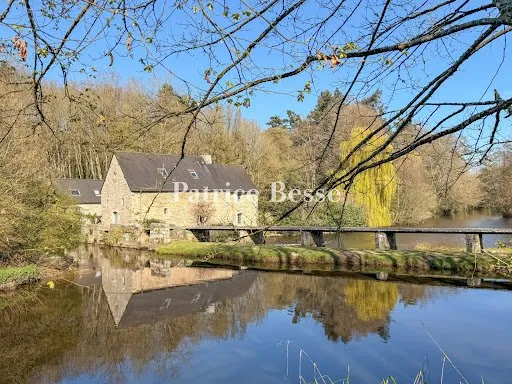 Moulin 10 pièces 303 m²